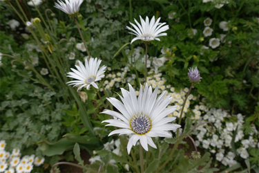 DSC00672_R