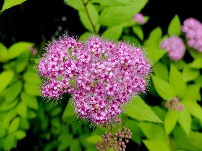 DSCF3385_R