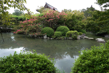 DSC09672_R