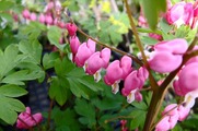 DSCF0676_R