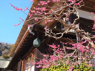 DSCF8405_R