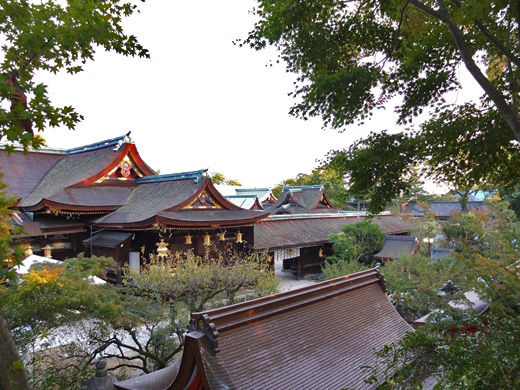 DSCF4792_R