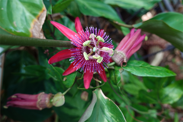 DSC03843_R