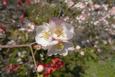 DSC06254_R
