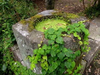 DSCF1904_R