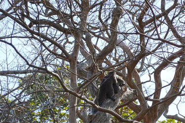 DSC00513_R