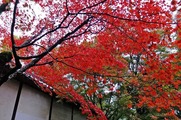 DSCF7462_R