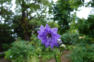 DSC08554_R