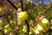 DSCF0514_R