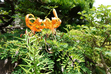 DSC07422_R