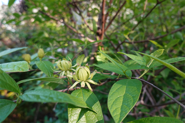 DSC06777_R