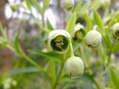 DSCF1381_R