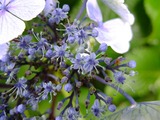 DSCF2438_R