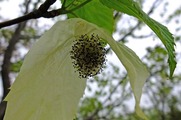 DSCF2565_R