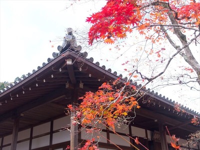 DSCF0041_R