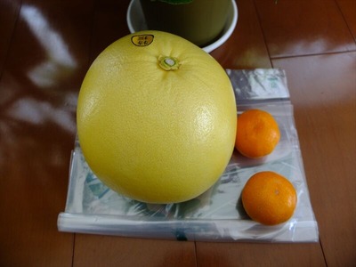 DSCF0478_R