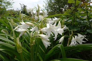 DSC08494_R