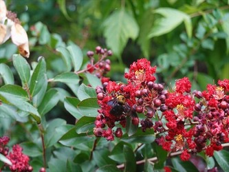 DSC01196_R