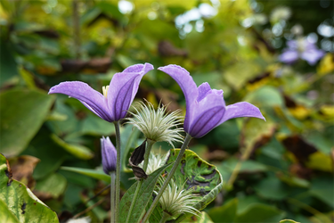 DSC09261_R