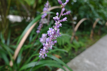 DSC09129_R