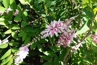 DSC03182_R