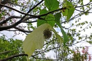 DSCF2780_R