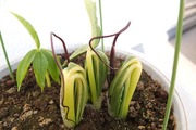 DSCF0227_R
