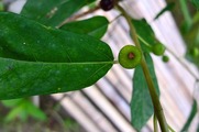 DSCF5026_R