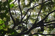 DSCF5483_R