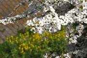 DSCF0547_R