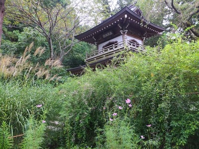 DSCF5312_R