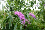 DSCF4856_R
