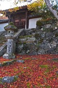 DSCF7829_R