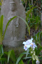 DSC06240_R