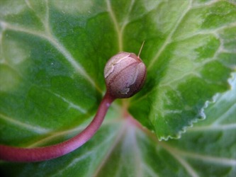 DSCF8234_R