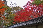 DSCF7464_R