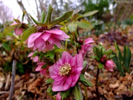 DSCF6734_R