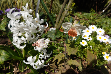 DSC05925_R