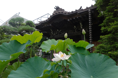 DSC08719_R