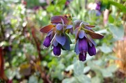 DSCF0668_R