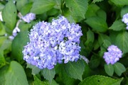 DSCF3084_R