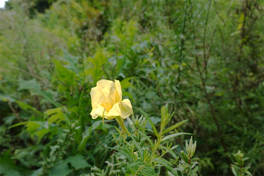 DSC09119 (1)_R