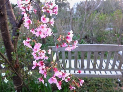DSCF4763_R