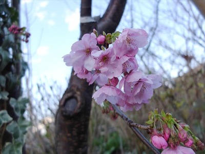 DSCF4753_R