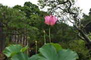 DSCF3688_R