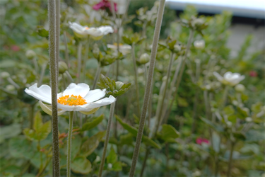 DSC09319_R