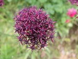 DSCF1997_R