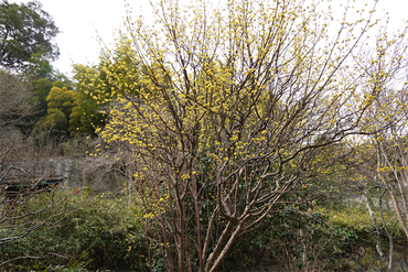 DSC05761_R