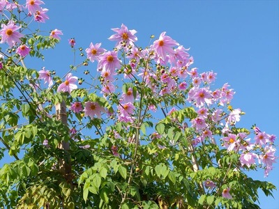 DSCF0166_R