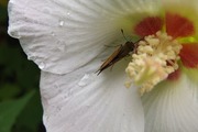 DSCF6032_R